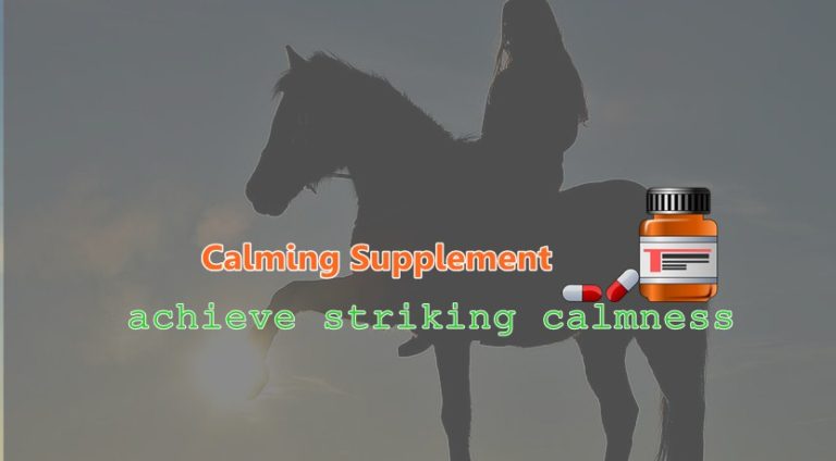 10 Best calming supplement for horses » achieve striking calmness