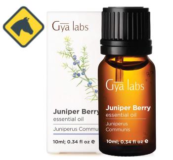 Gya Labs Juniper Berry Essential Oil 