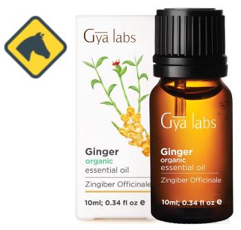Gya Labs Organic Ginger Essential Oil