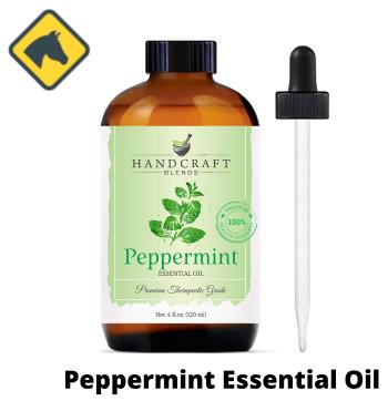 Peppermint Essential Oil